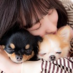 福岡県北九州市小倉南区の写真スタジオチャボフォトchavophoto入園式入学式記念写真ベビーフォト生前遺影成人式写真子供キッズ誕生日建築写真ペット写真撮影