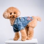 北九州ペットフォト写真撮影福岡県小倉南区の写真スタジオチャボフォトchavophoto入園式入学式記念写真ベビーフォト生前遺影成人式写真子供キッズ誕生日建築写真ペット写真撮影初節句お雛祭り家族写真