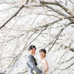 北九州ブライダルフォトウエディング写真撮影福岡県小倉南区の写真スタジオチャボフォトchavophoto入園式入学式記念写真ベビーフォト生前遺影成人式写真子供キッズ誕生日建築写真ペット写真撮影初節句お雛祭り家族写真