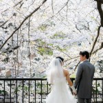 北九州ブライダルフォトウエディング写真撮影福岡県小倉南区の写真スタジオチャボフォトchavophoto入園式入学式記念写真ベビーフォト生前遺影成人式写真子供キッズ誕生日建築写真ペット写真撮影初節句お雛祭り家族写真