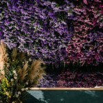 北九州ドライフラワー写真館ベビー赤ちゃんフォト写真撮影フォトウエディング写真撮影福岡県小倉南区の写真スタジオチャボフォトchavophoto入園式入学式記念写真ベビーフォト生前遺影成人式写真子供キッズ誕生日建築写真ペット写真撮影初節句お雛祭り家族写真